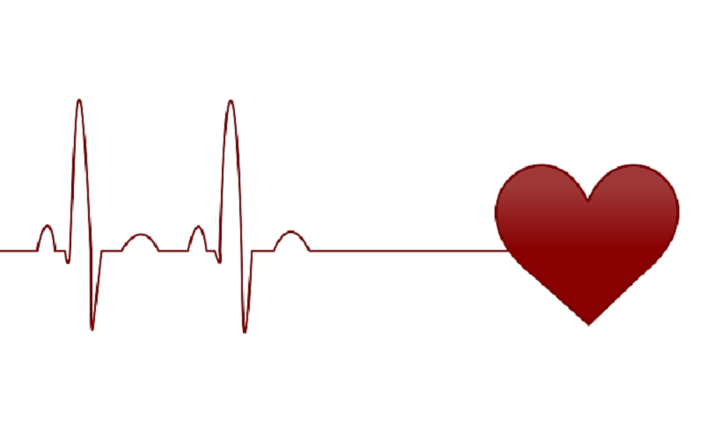 Cardiovasculair 800 500