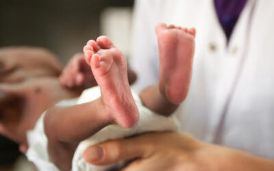 Neonatale screening1 800 500