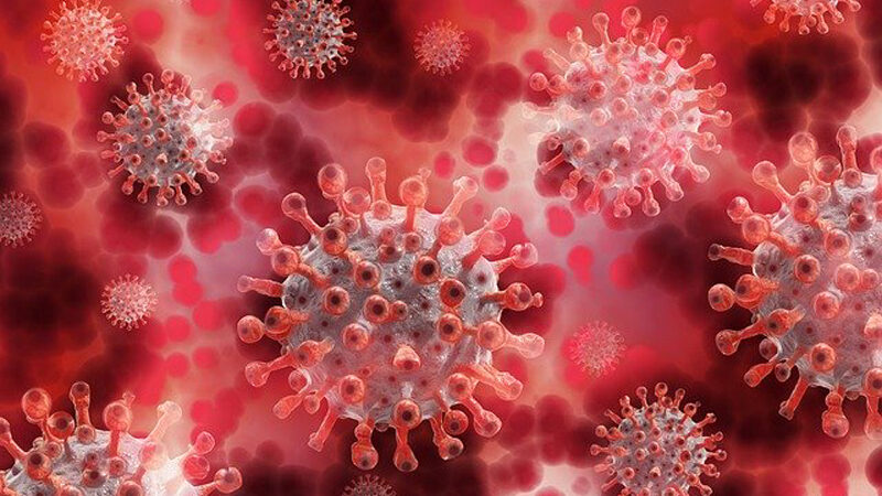 SARS Co V 2serologie1 800 500
