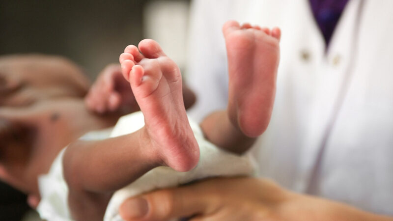 Neonatale screening1 800 500