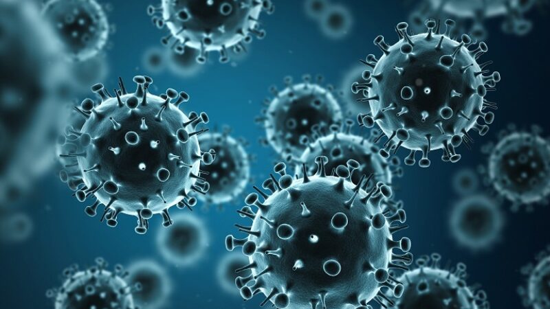 Flu