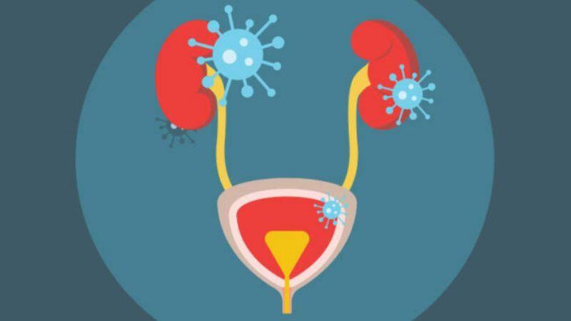 Urinary Tract Infectns2 1058161690 770x553 650x428